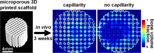 Publication illustration